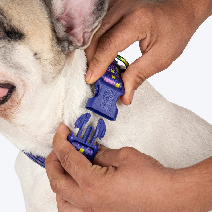 Dash Dog Pixel Padded Collar For Dog - Purple