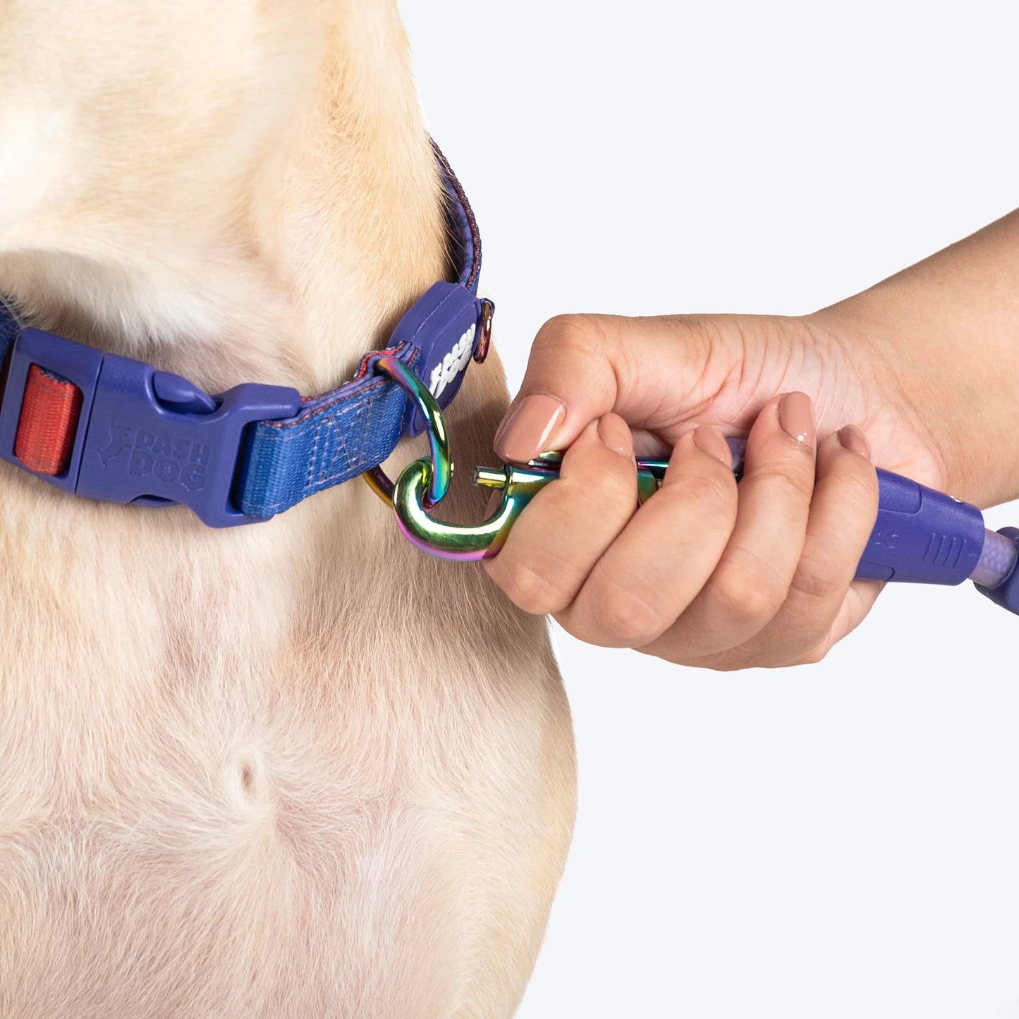 Dash Dog Flow Padded Collar For Dog - Red & Purple
