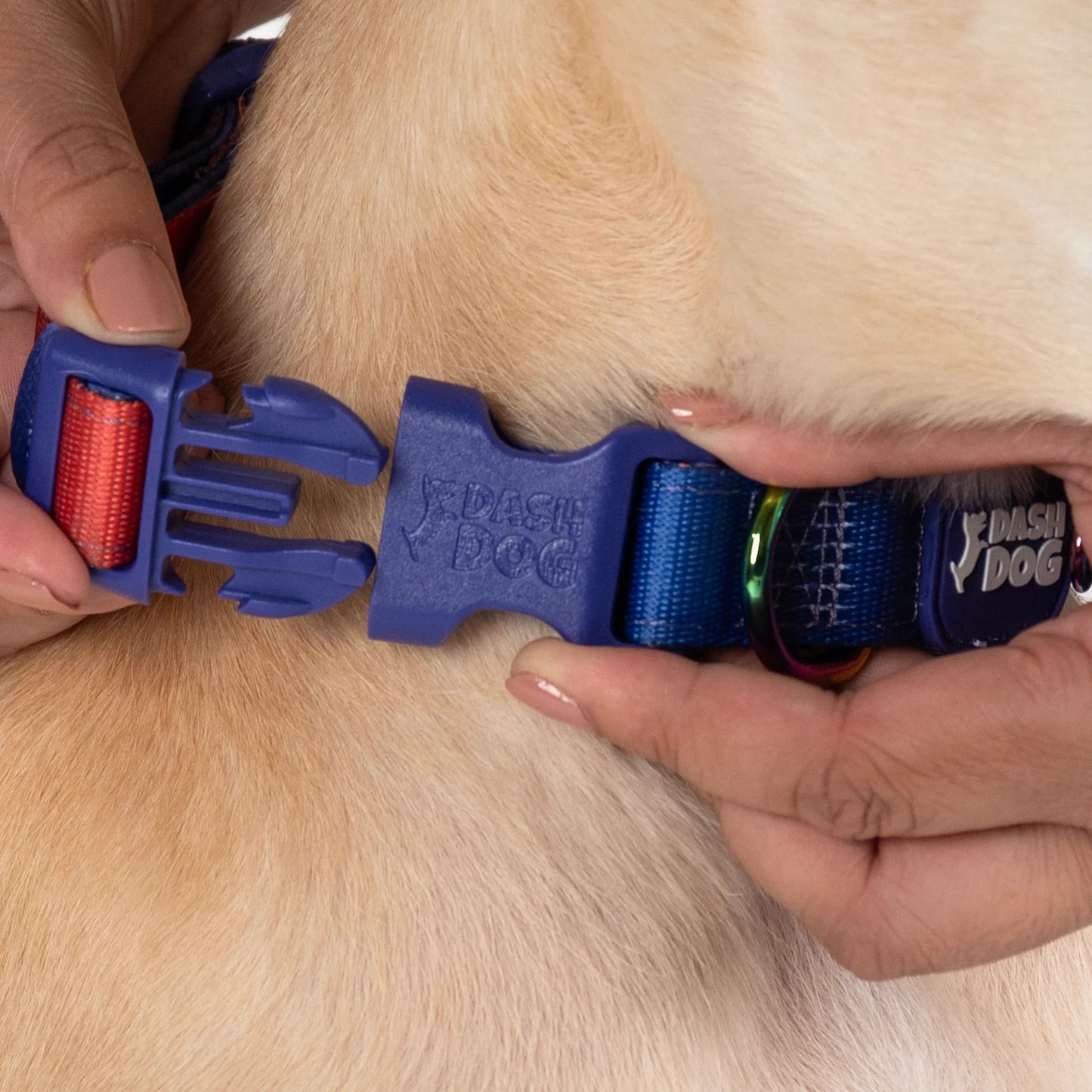 Dash Dog Flow Padded Collar For Dog - Red & Purple
