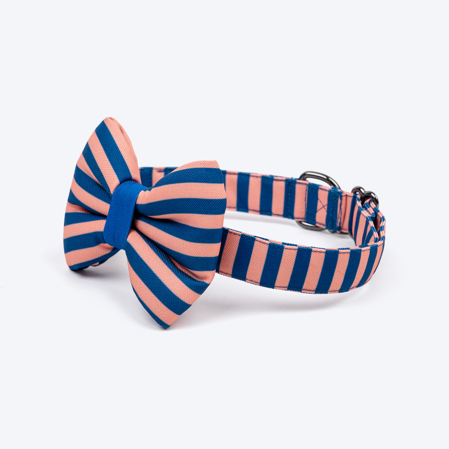 HUFT Happy Stripes Bow Tie With Collar For Dog - Blue & Peach