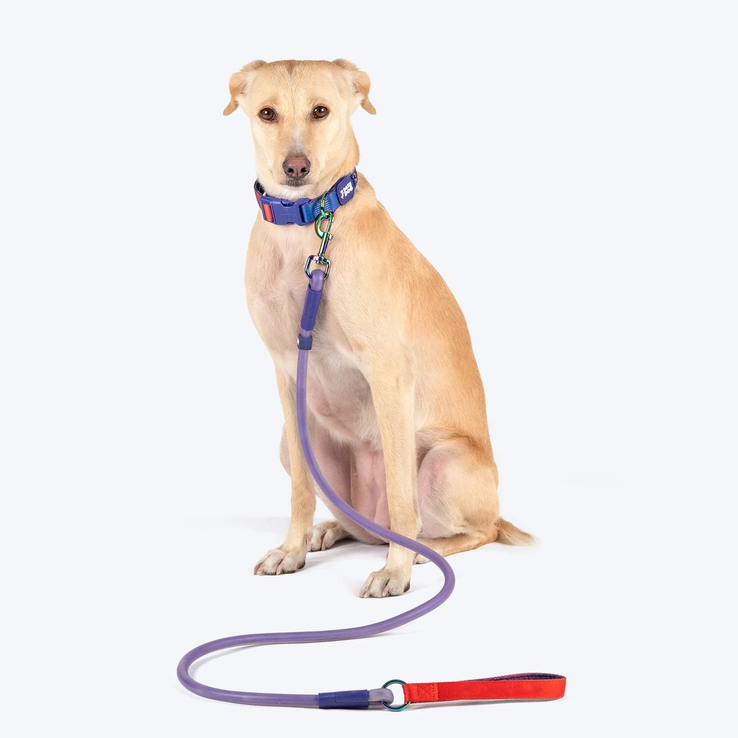Dash Dog Zoom Easy Leash For Dog - Purple