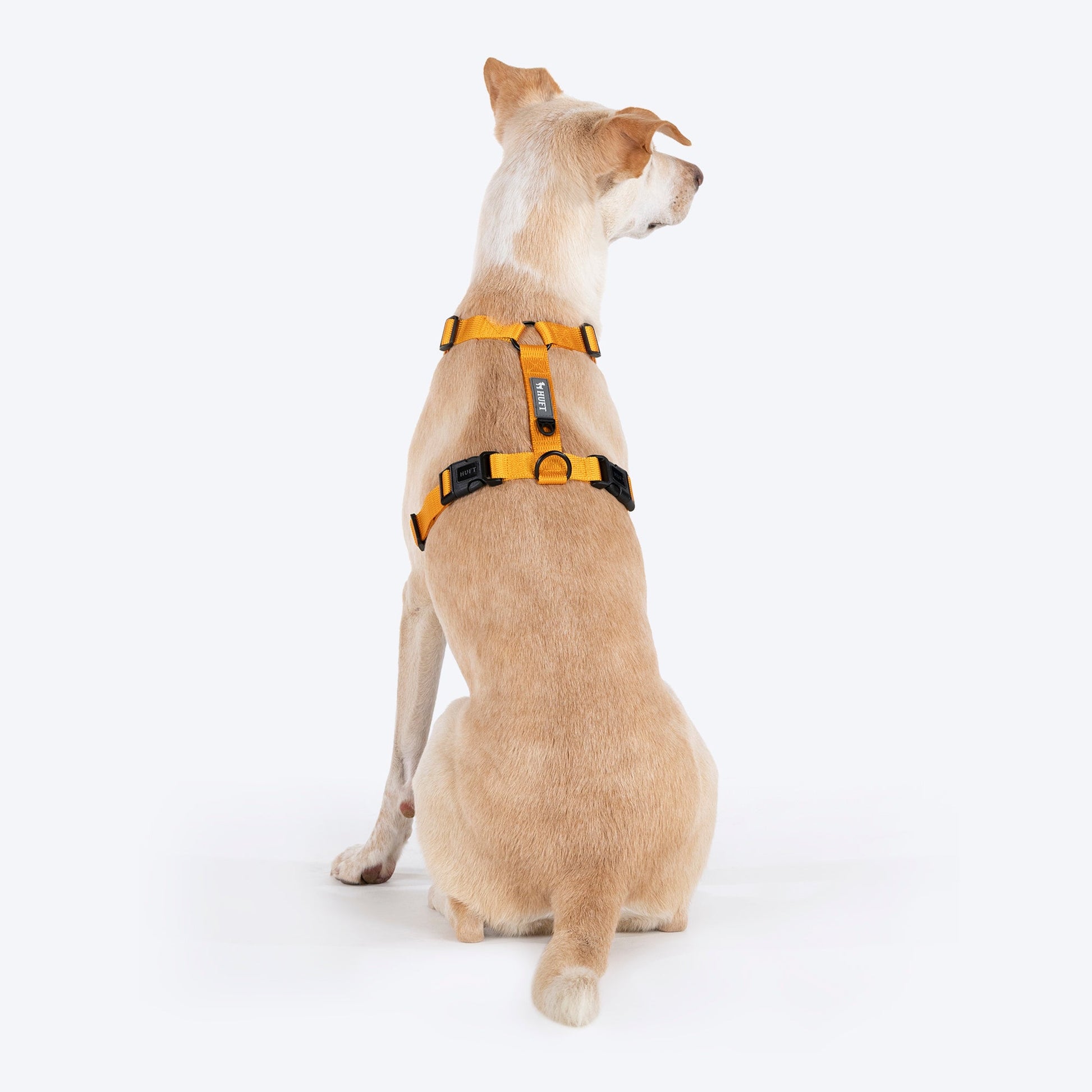 HUFT Basics Dog H-Harness - Yellow & Blue - Heads Up For Tails