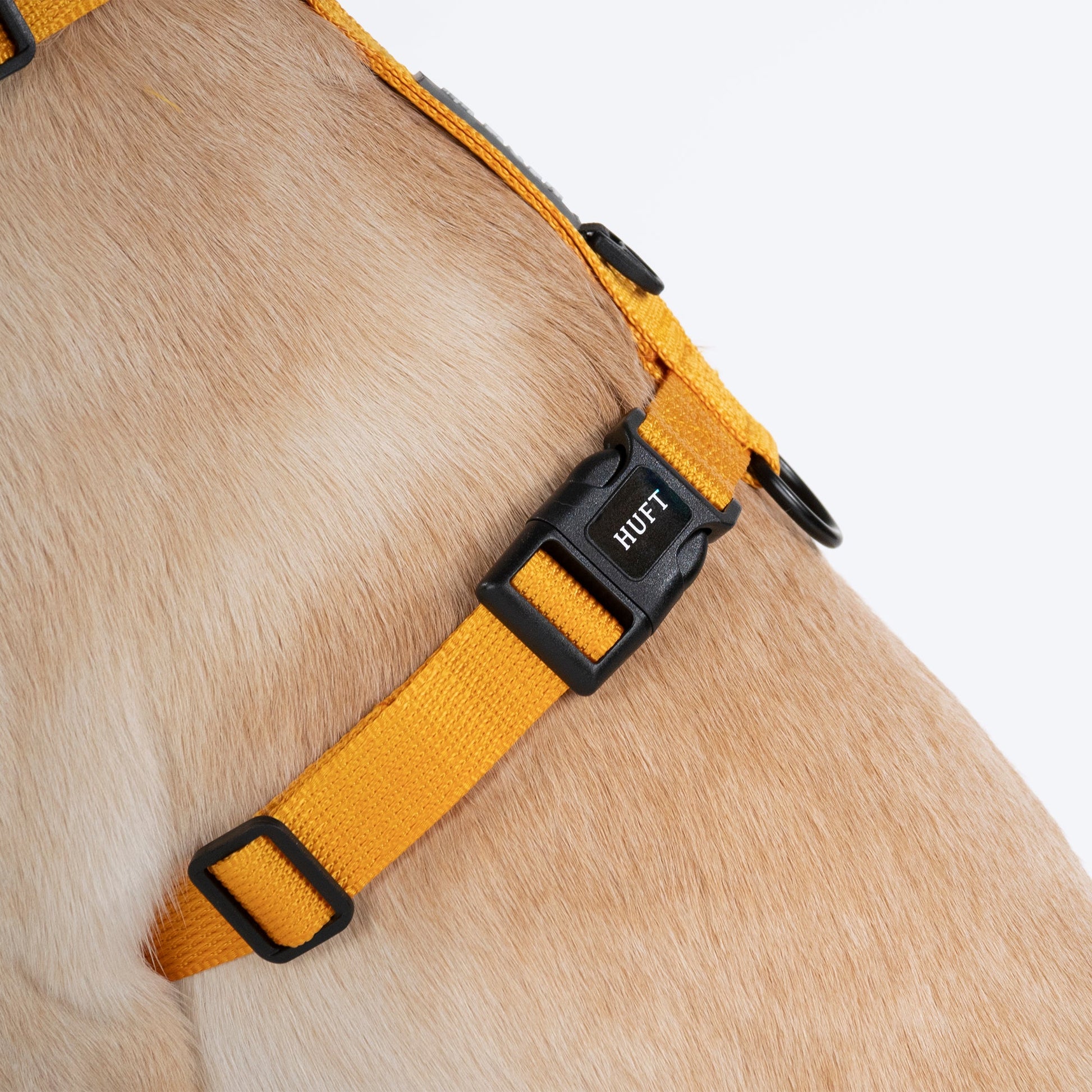 HUFT Basics Dog H-Harness - Yellow & Blue - Heads Up For Tails