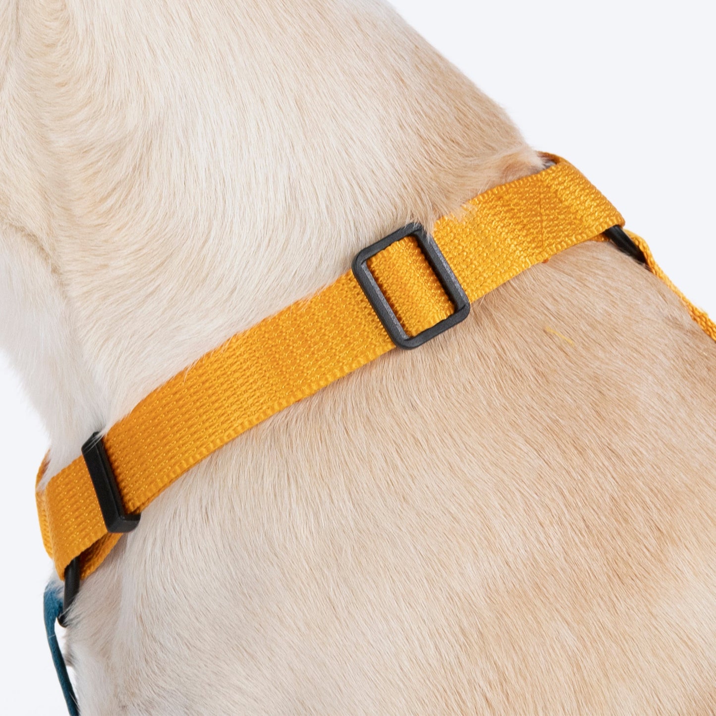 HUFT Basics Dog H-Harness - Yellow & Blue - Heads Up For Tails