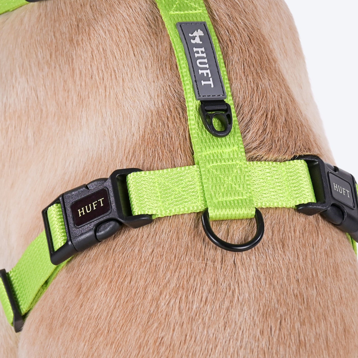HUFT Basics Dog H-Harness - Neon Green & Blue - Heads Up For Tails