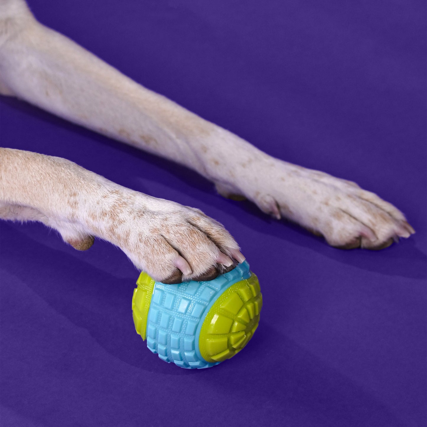 Dash Dog Squeaky Serve Tennis Ball Fetch Toy For Dog - Blue & Green