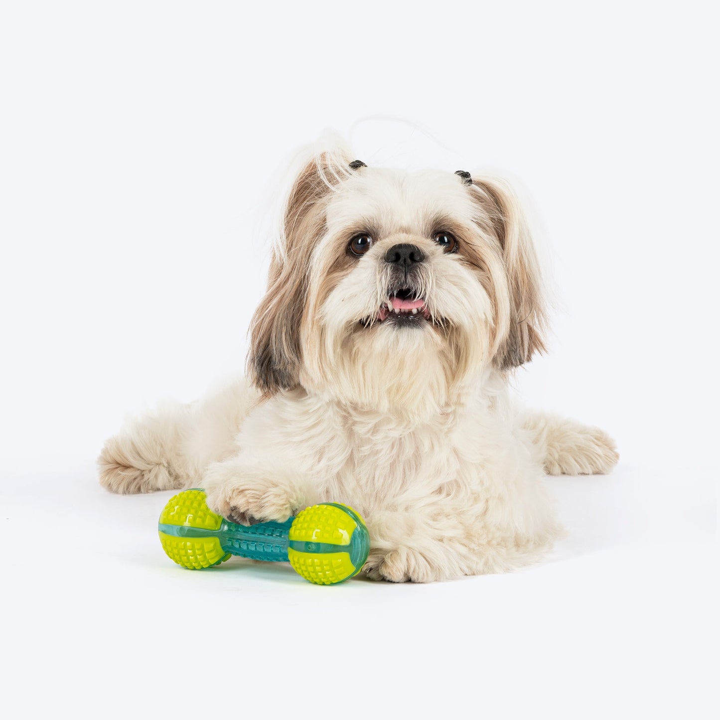Dash Dog Extreme Play Squeaky Dumbbel Toy For Dog - Green