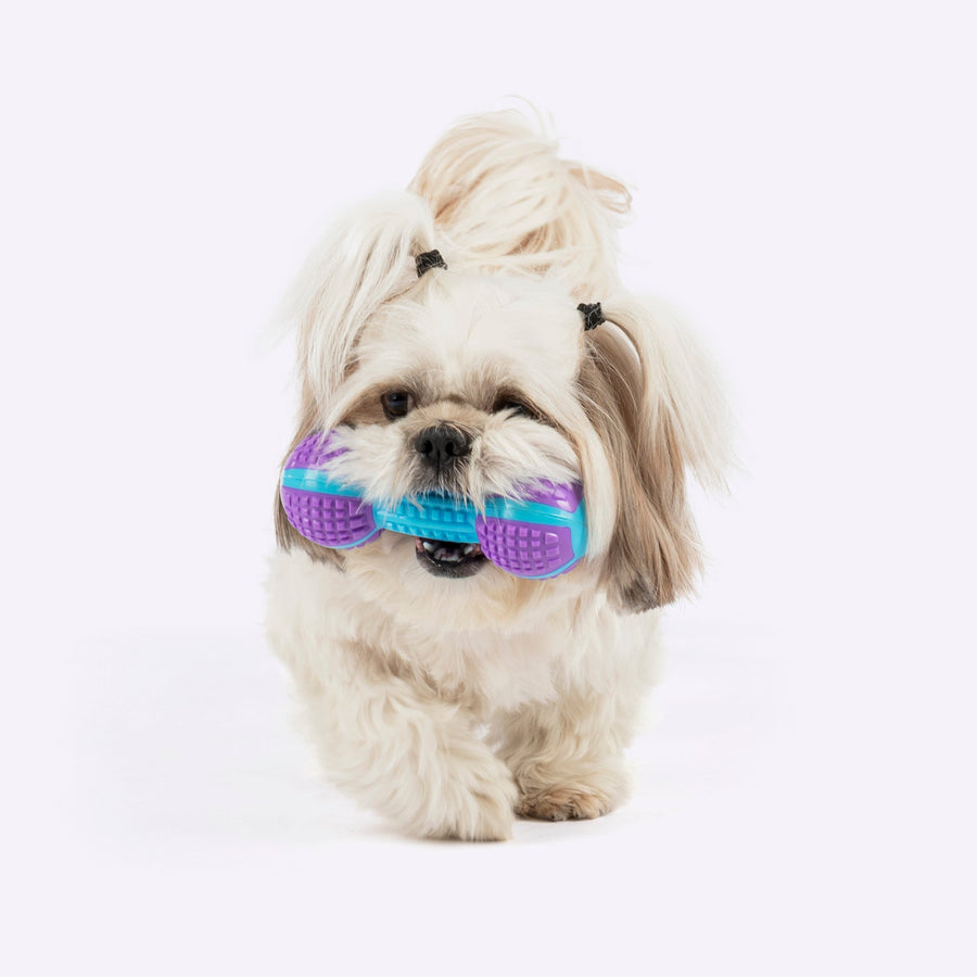 Dash Dog Gnaw & Go Squeaky Toy For Dog - Purple & Blue