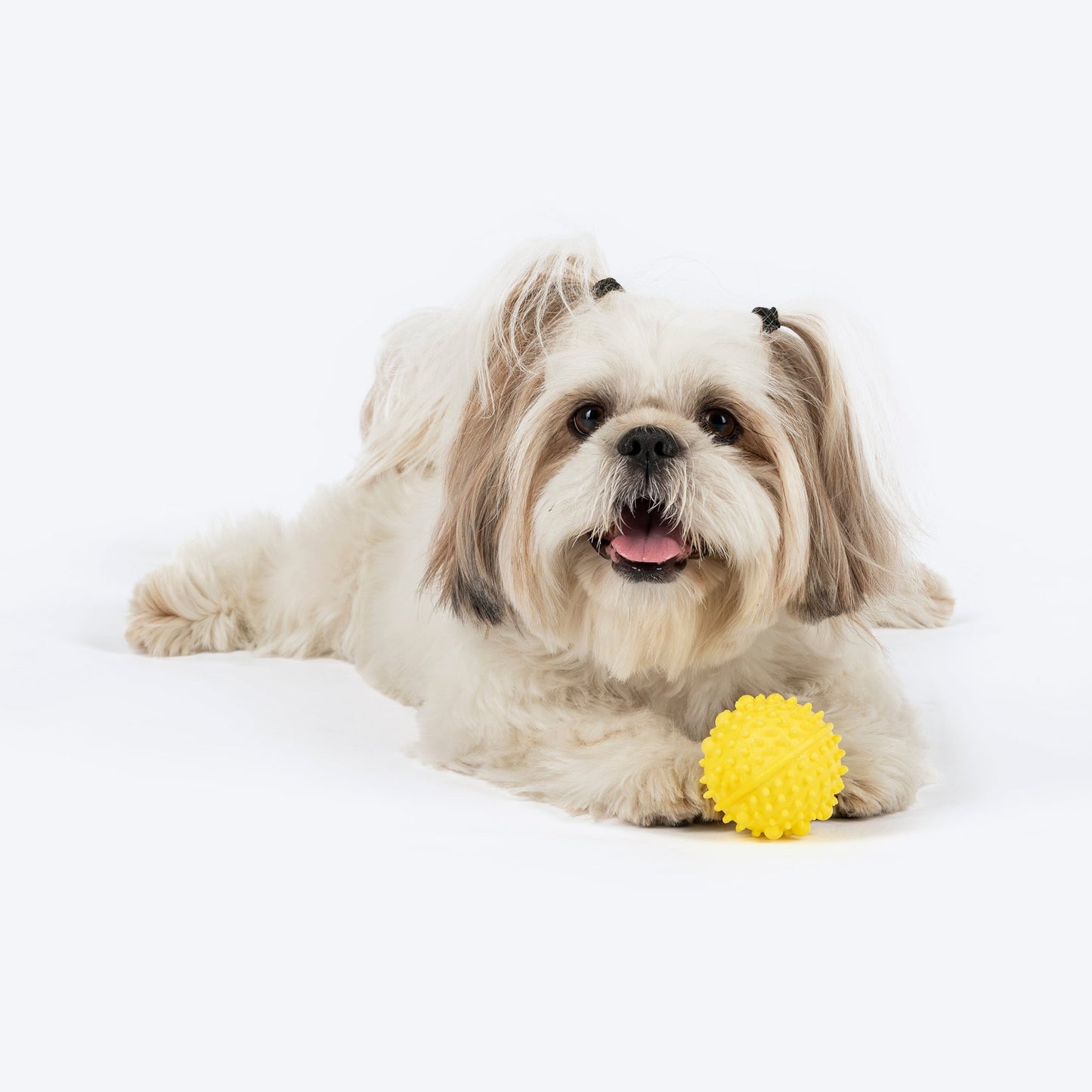 Dash Dog Mello-Yello Ball Toy Dog Toy