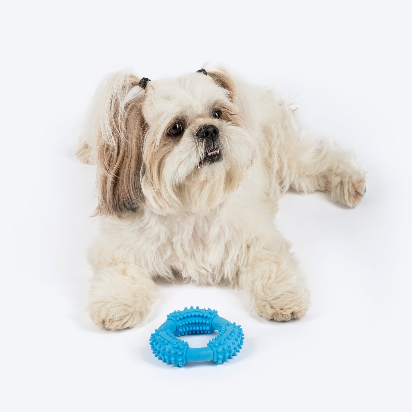 Dash Dog Softy Ring Toy For Dog