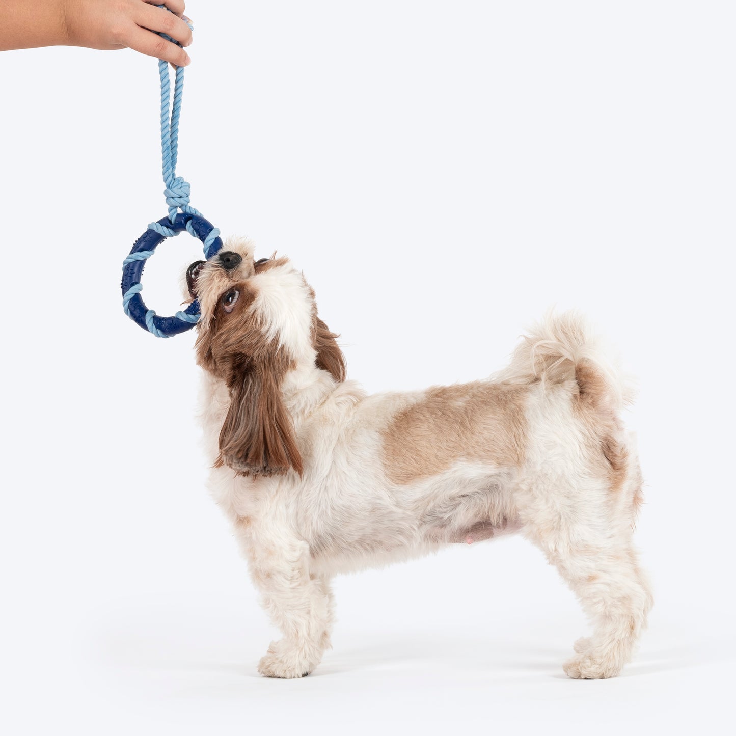 Dash Dog Disc Tugger Rope Toy For Dog - Navy Blue