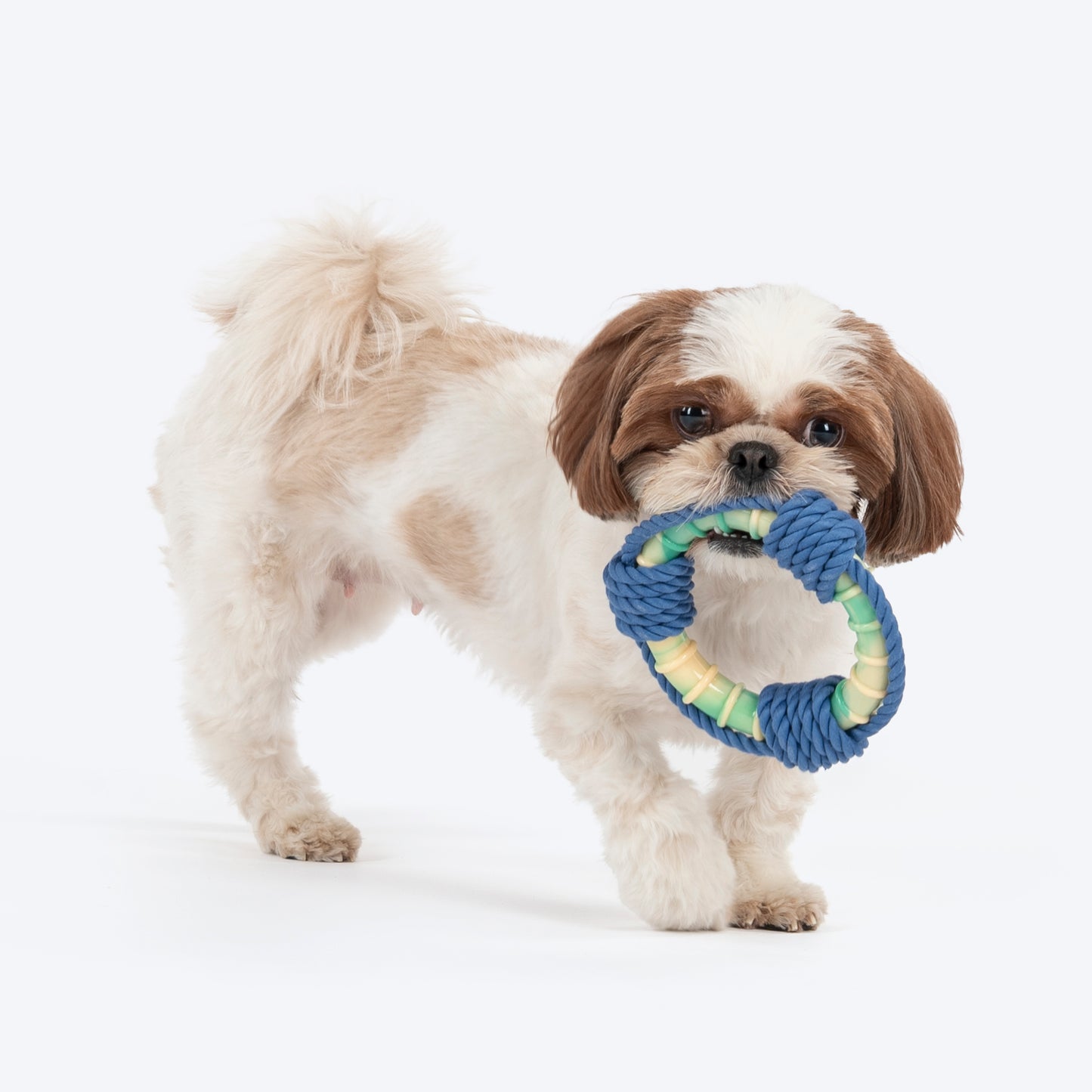 Dash Dog Disc Dasher Rope Toy For Dog - Multicolor
