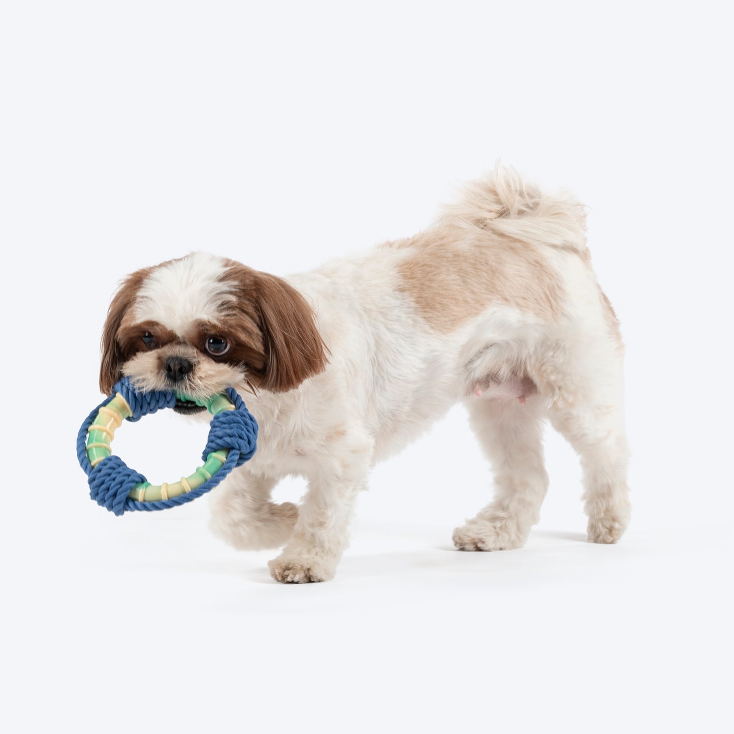 Dash Dog Disc Dasher Rope Toy For Dog - Multicolor