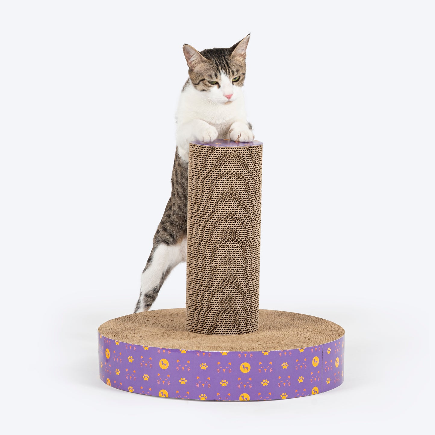 HUFT Scratch-N-Stretch Scratching Post Cat Scratcher