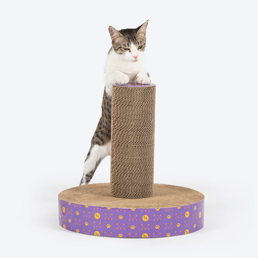 HUFT Scratch-N-Stretch Scratching Post Cat Scratcher