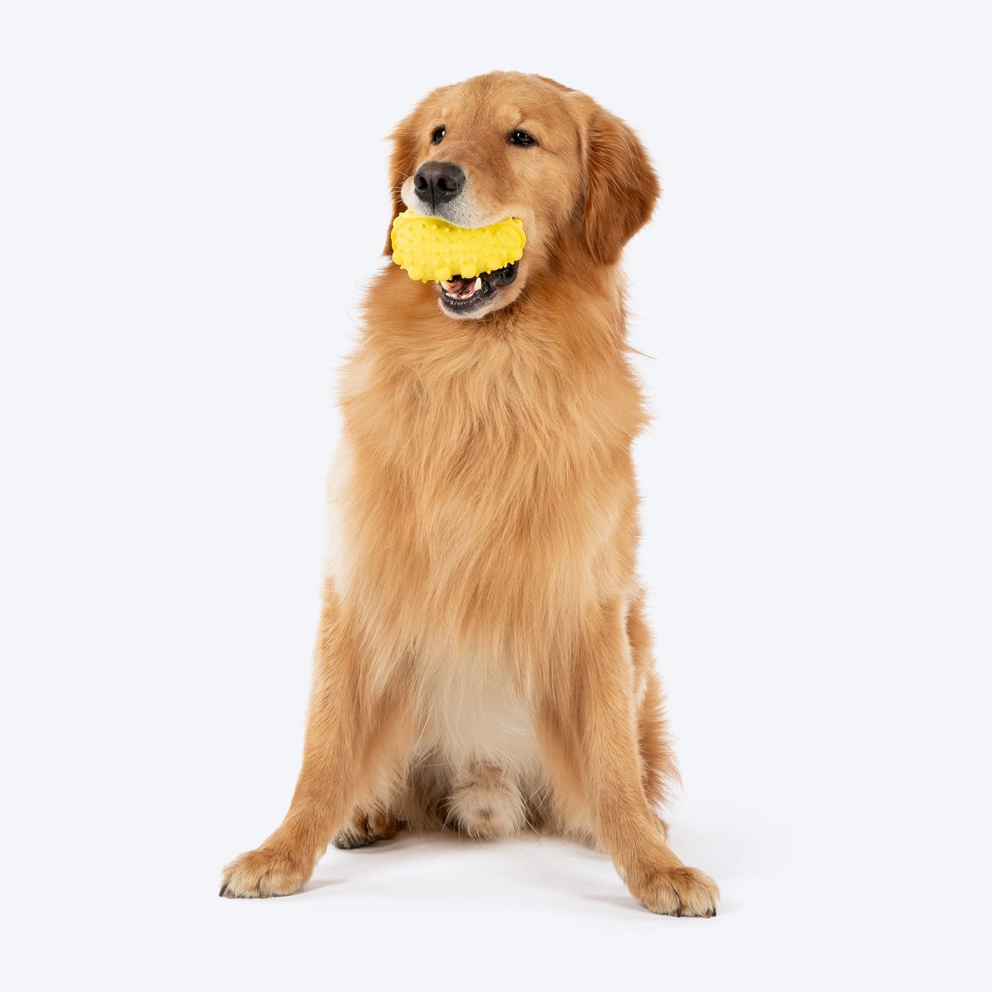 Dash Dog Mello-Yello Peanut Toy For Dog