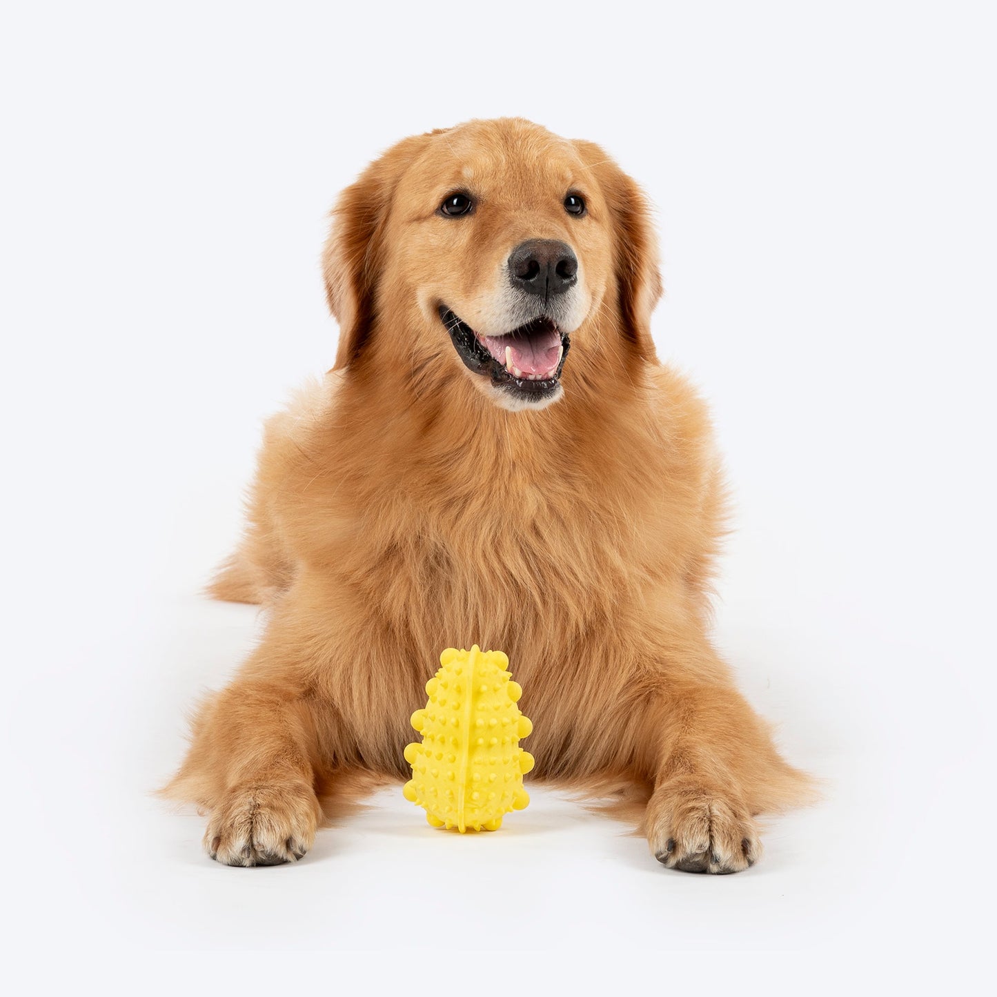 Dash Dog Mello-Yello Peanut Toy For Dog