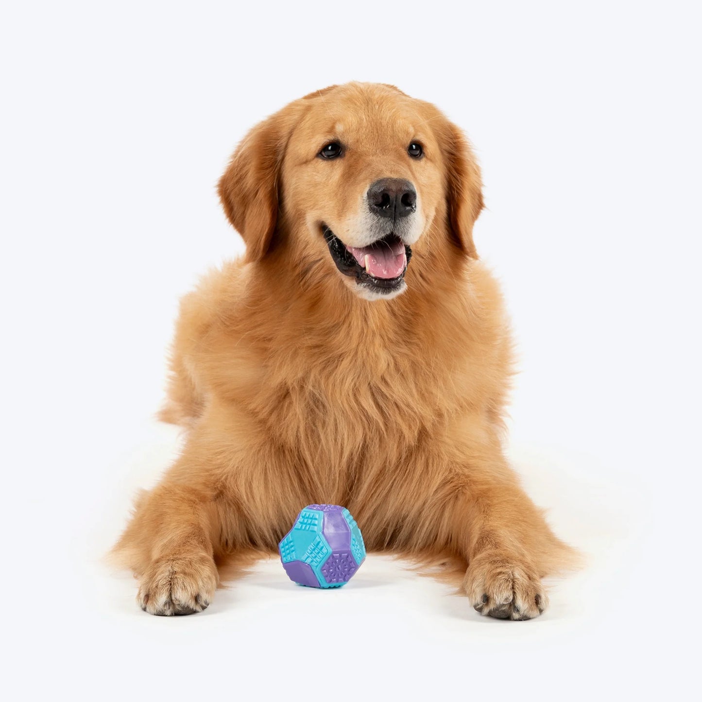 Dash Dog Extreme Play Squeaky Ball Toy For Dog - Blue