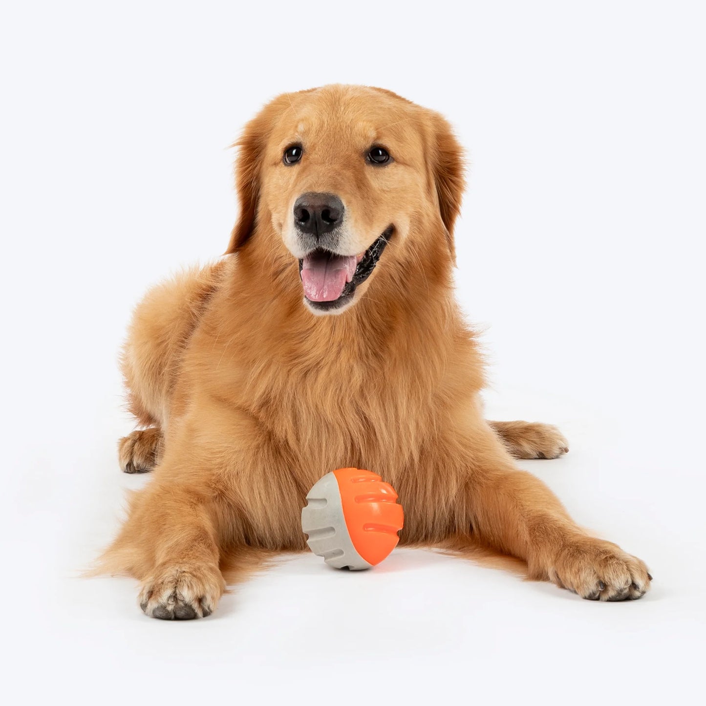 Dash Dog Double Trouble Ball Toy For Dog