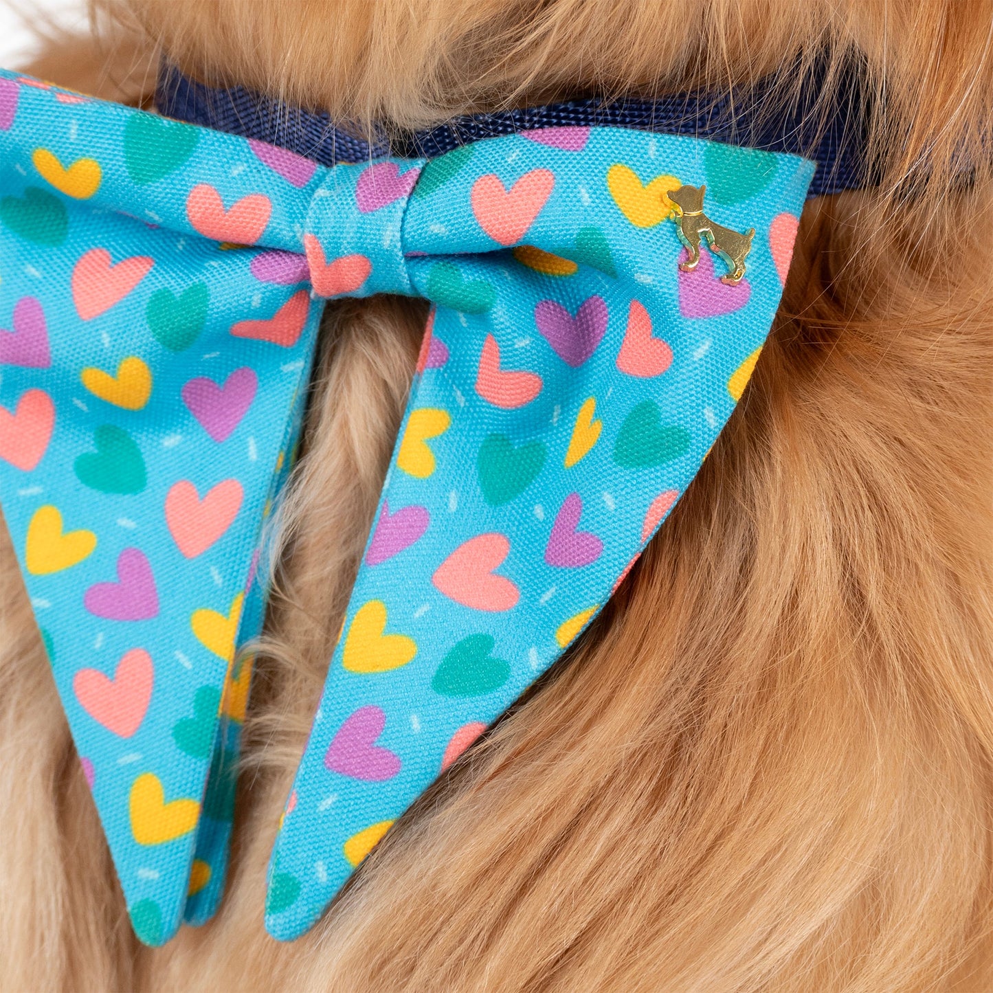 HUFT Over The Rainbow Printed Bow Tie for Dog - Blue