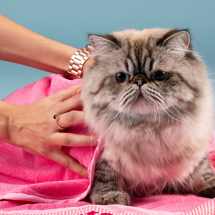 HUFT Cutest Microfiber Towel For Dogs & Cats - Light Pink