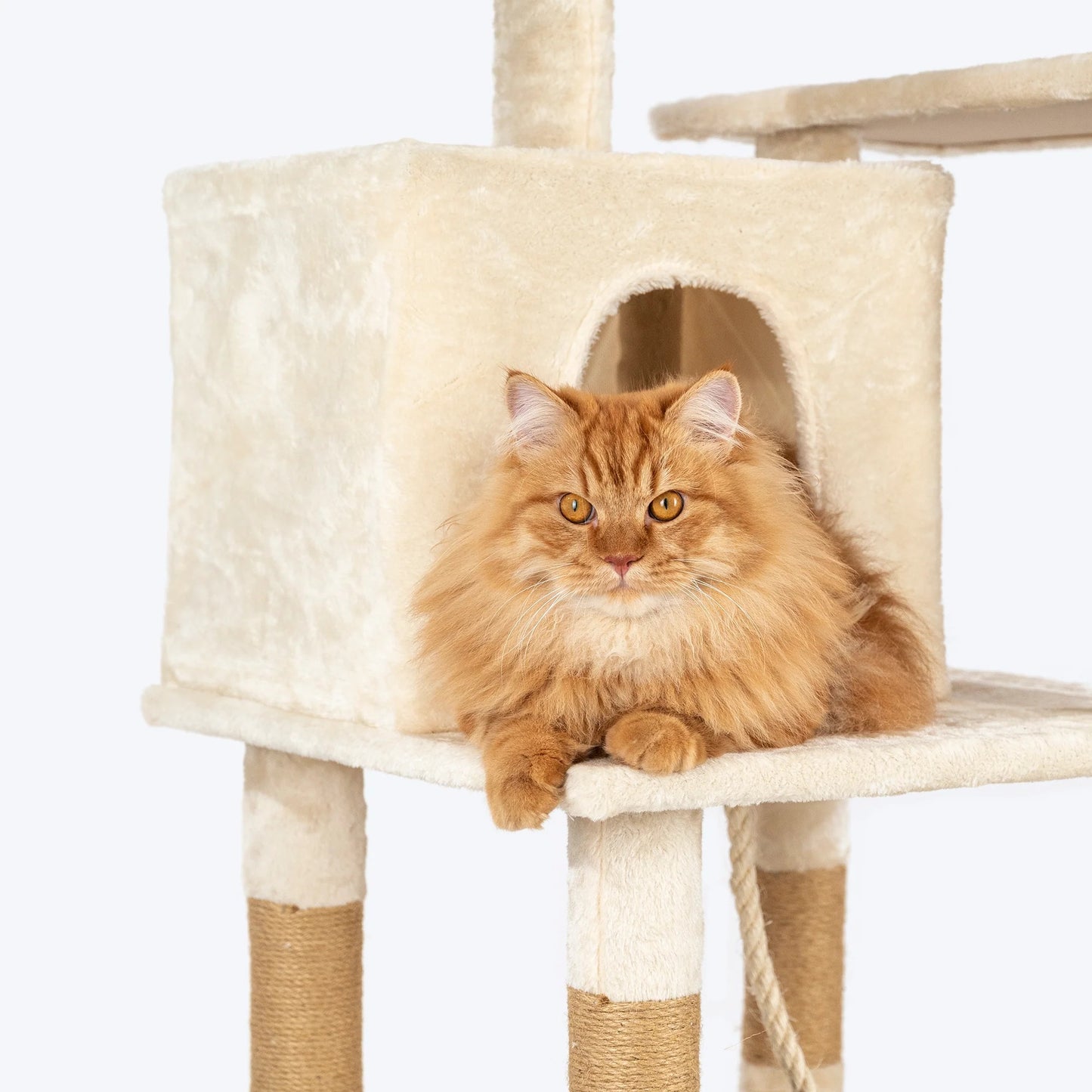 HUFT Purrch Paradise Multipurpose Cat Tree - Beige