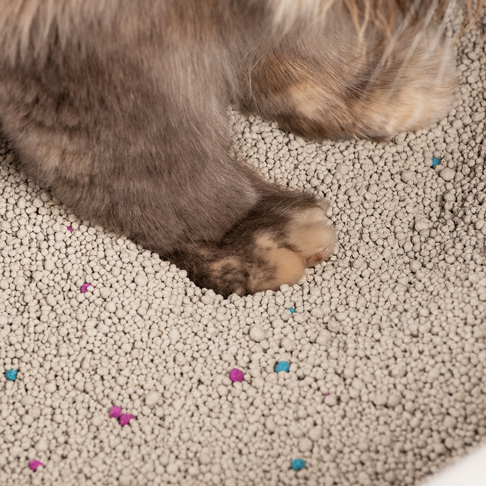 HUFT Natural & Clumping Cat Litter - Lavender - 5 kg