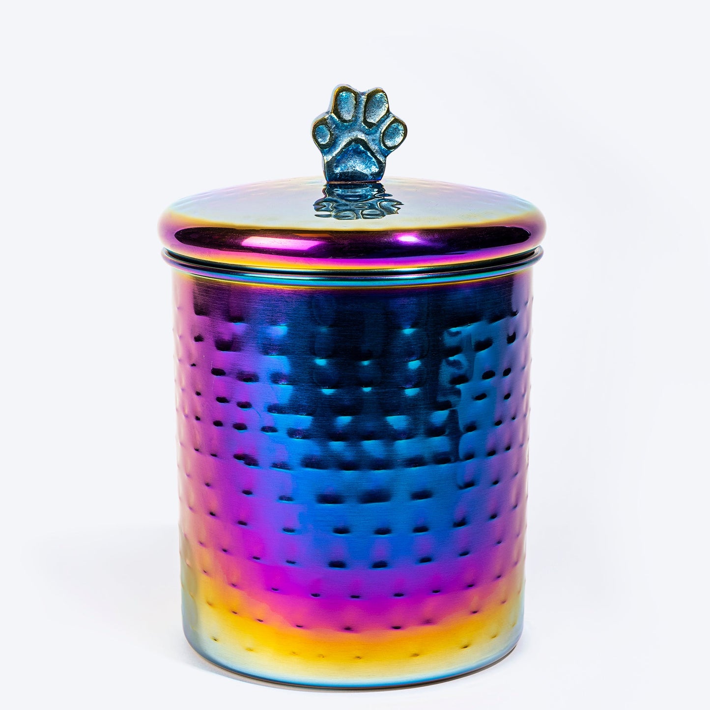 Dash Dog Rainbow Stainless Steel Treat Jar For Dog & Cat - Multicolor