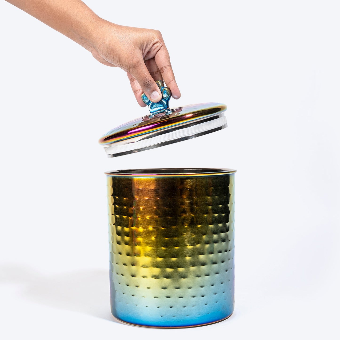 Dash Dog Rainbow Stainless Steel Treat Jar For Dog & Cat - Multicolor