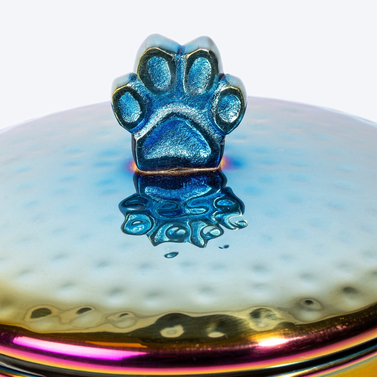 Dash Dog Rainbow Stainless Steel Treat Jar For Dog & Cat - Multicolor