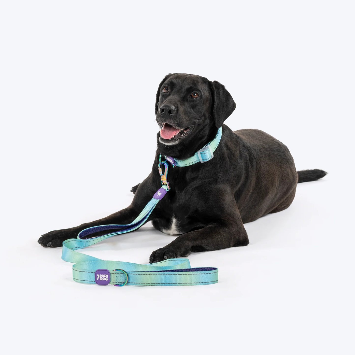 Dash Dog Ethernal Fade Dual Handle Leash For Dog - Aqua