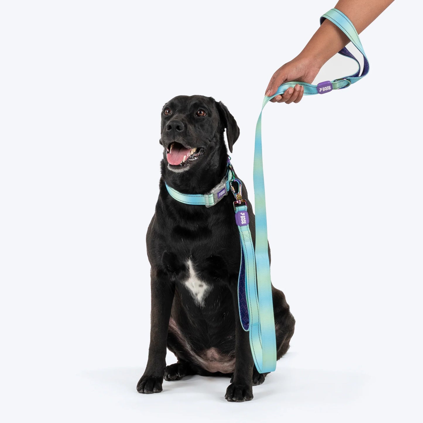 Dash Dog Ethernal Fade Dual Handle Leash For Dog - Aqua