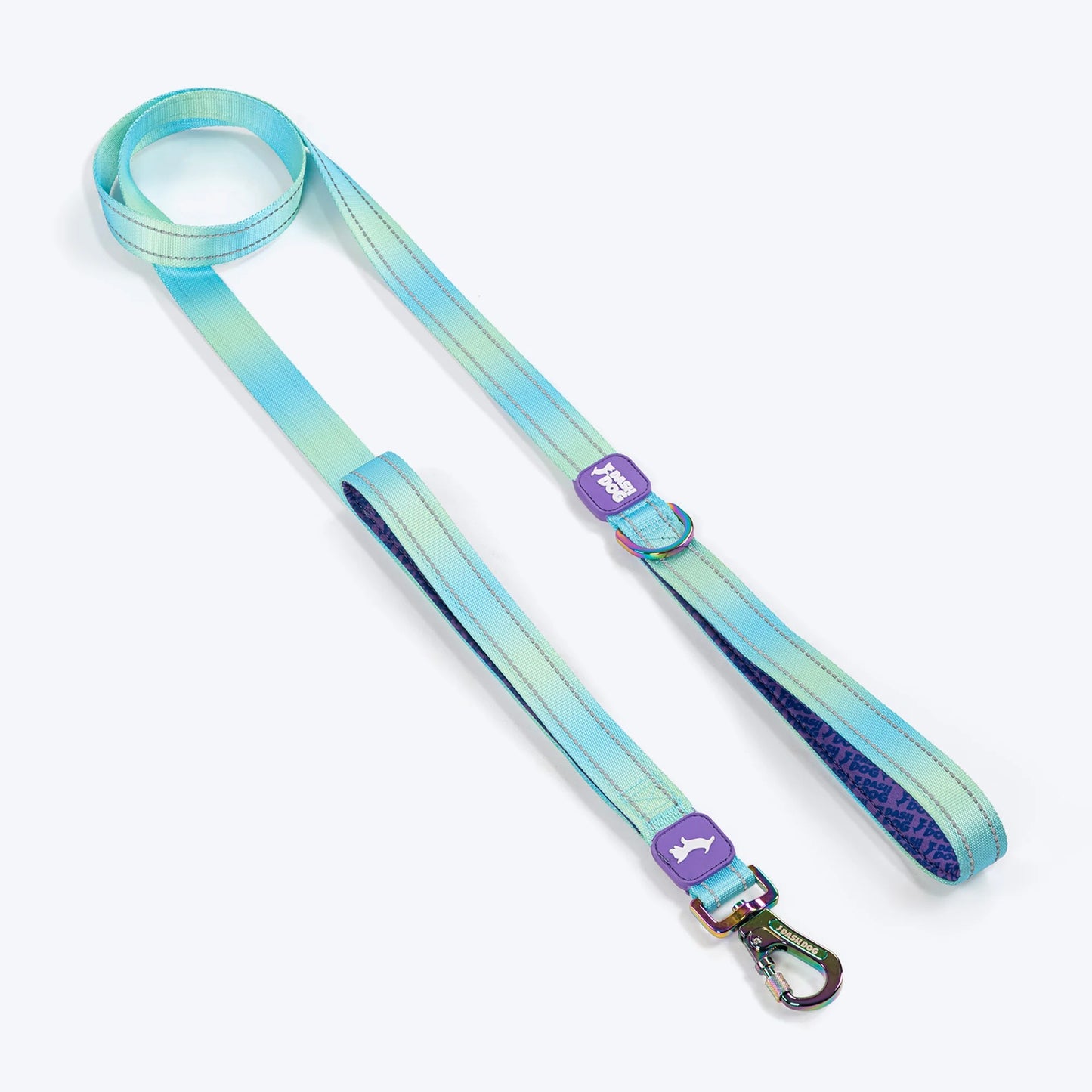 Dash Dog Ethernal Fade Dual Handle Leash For Dog - Aqua
