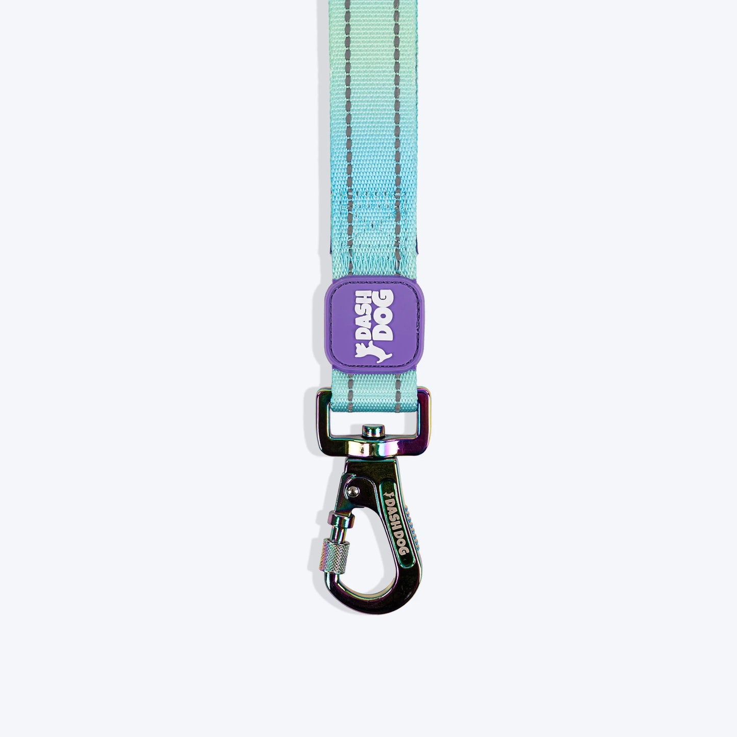 Dash Dog Ethernal Fade Dual Handle Leash For Dog - Aqua