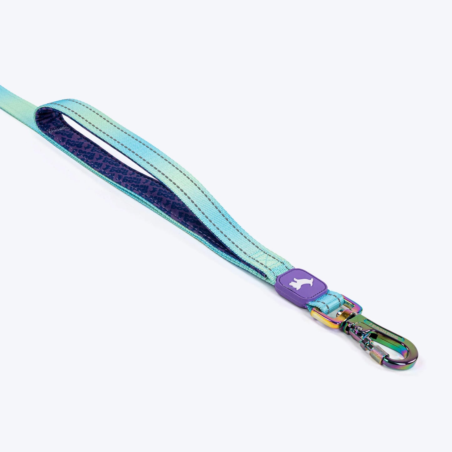 Dash Dog Ethernal Fade Dual Handle Leash For Dog - Aqua
