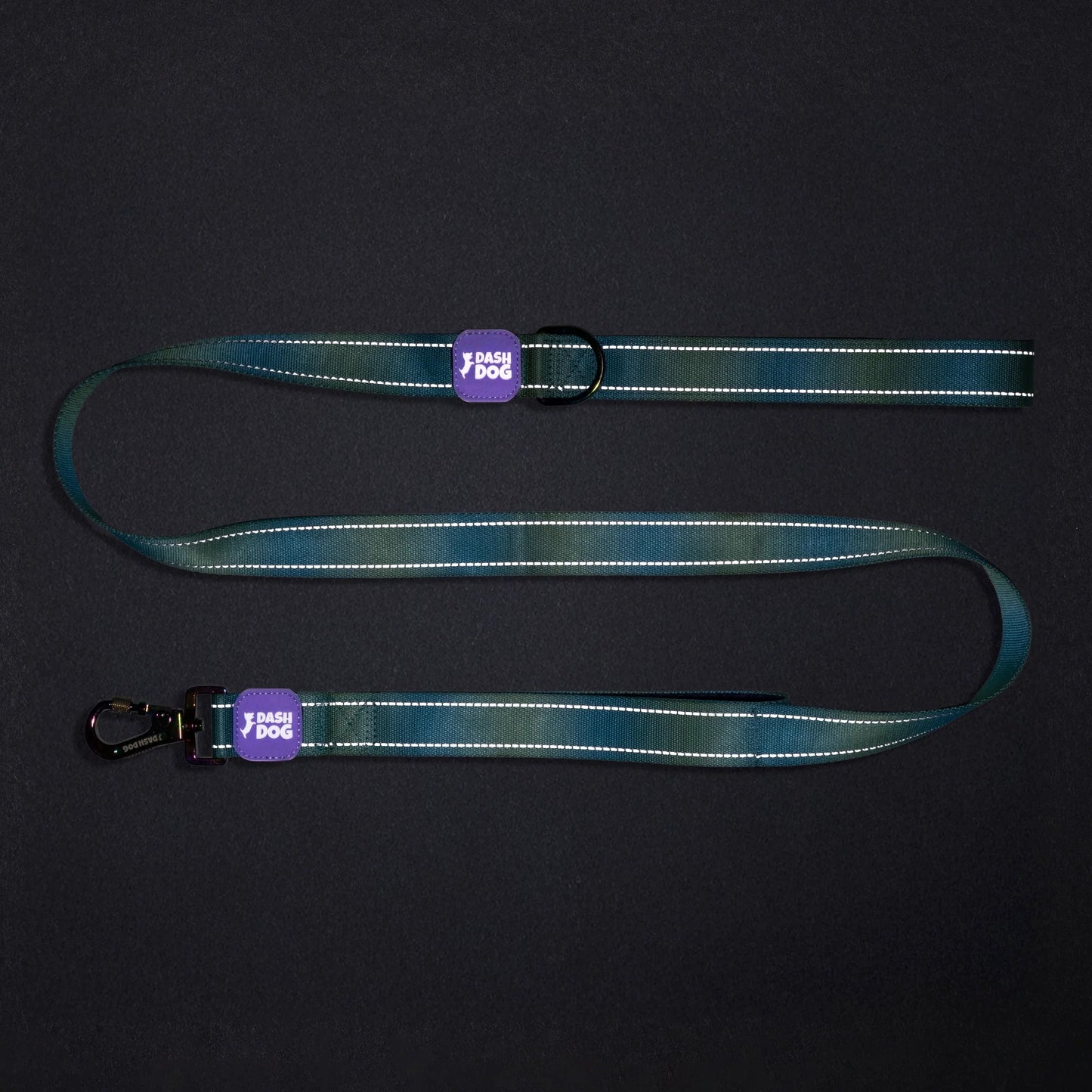 Dash Dog Ethernal Fade Dual Handle Leash For Dog - Aqua
