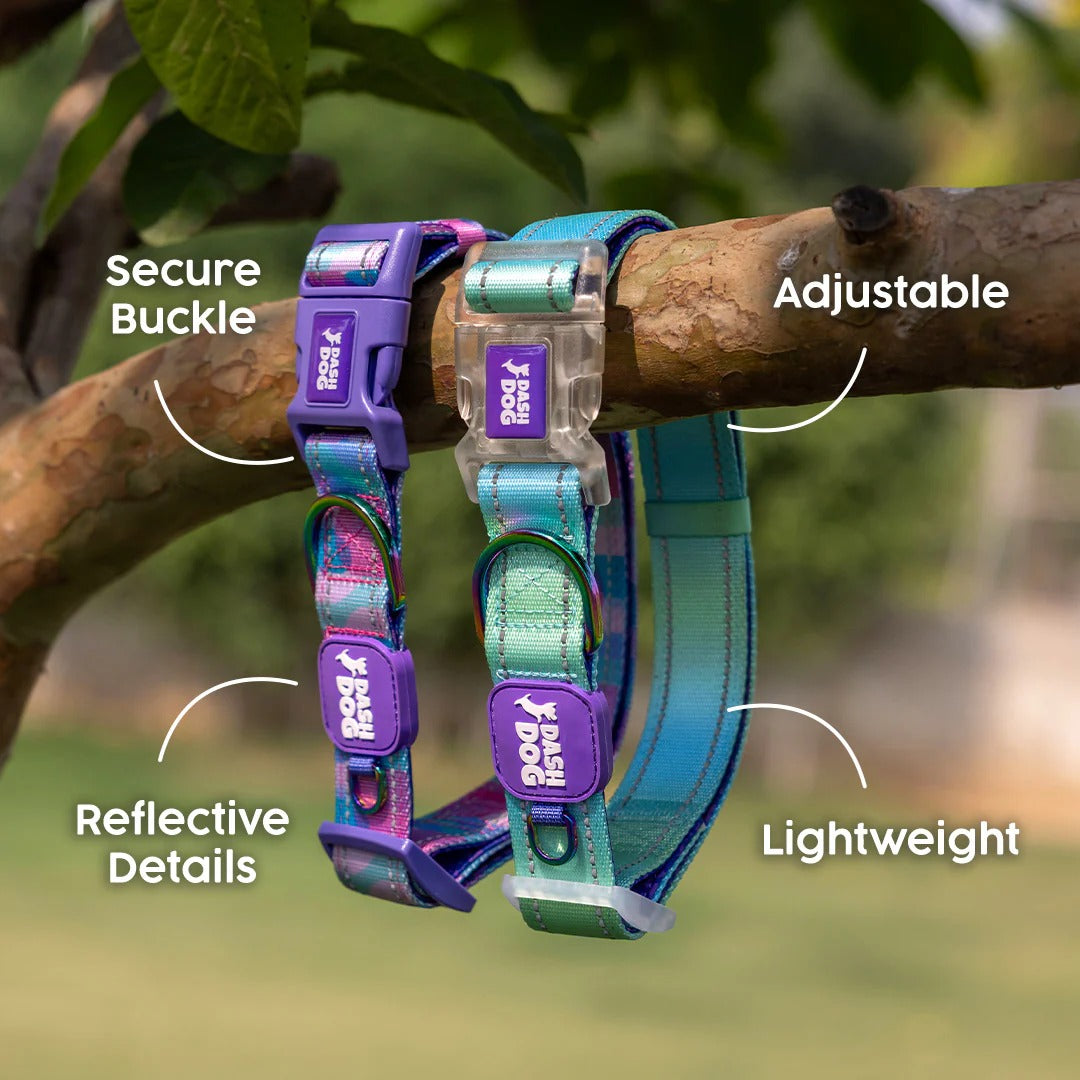 Dash Dog Galaxy Padded Collar For Dog - Purple