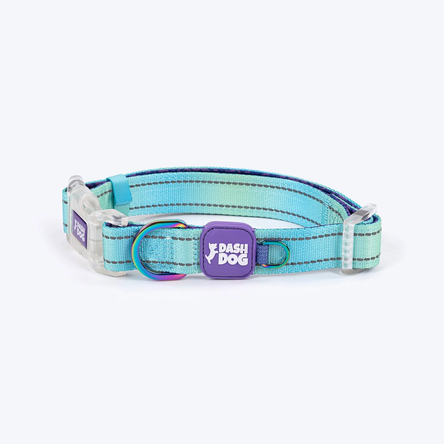 Dash Dog Ethernal Fade Padded Collar For Dog - Aqua