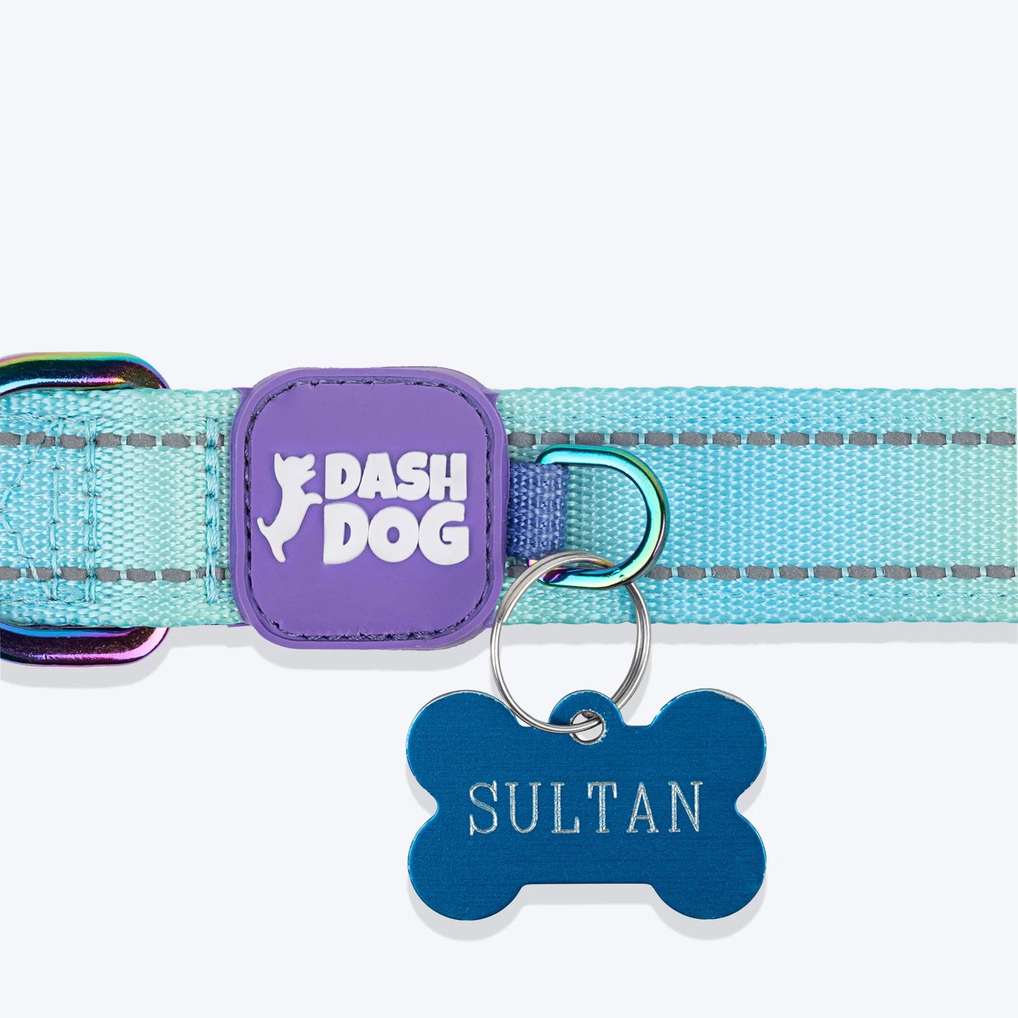Dash Dog Ethernal Fade Padded Collar For Dog - Aqua