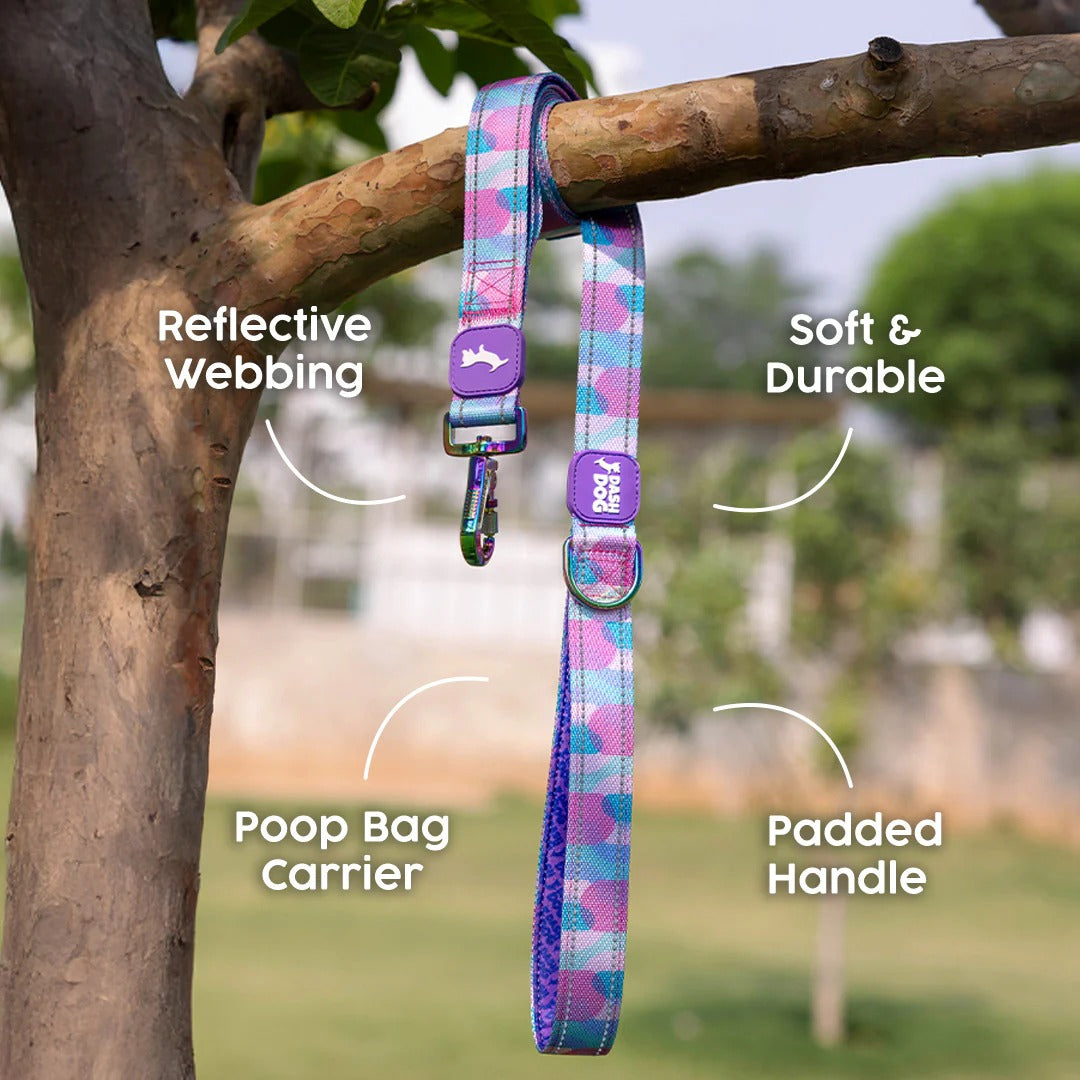 Dash Dog Galaxy Dual Handle Leash For Dog - Purple