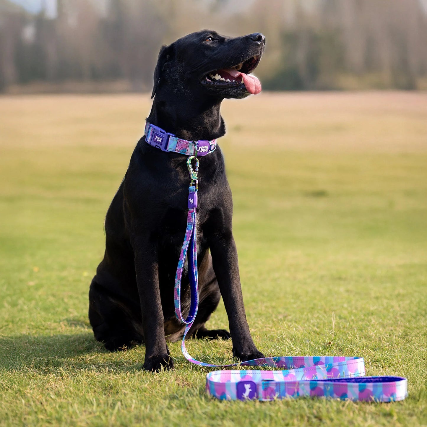 Dash Dog Galaxy Dual Handle Leash For Dog - Purple