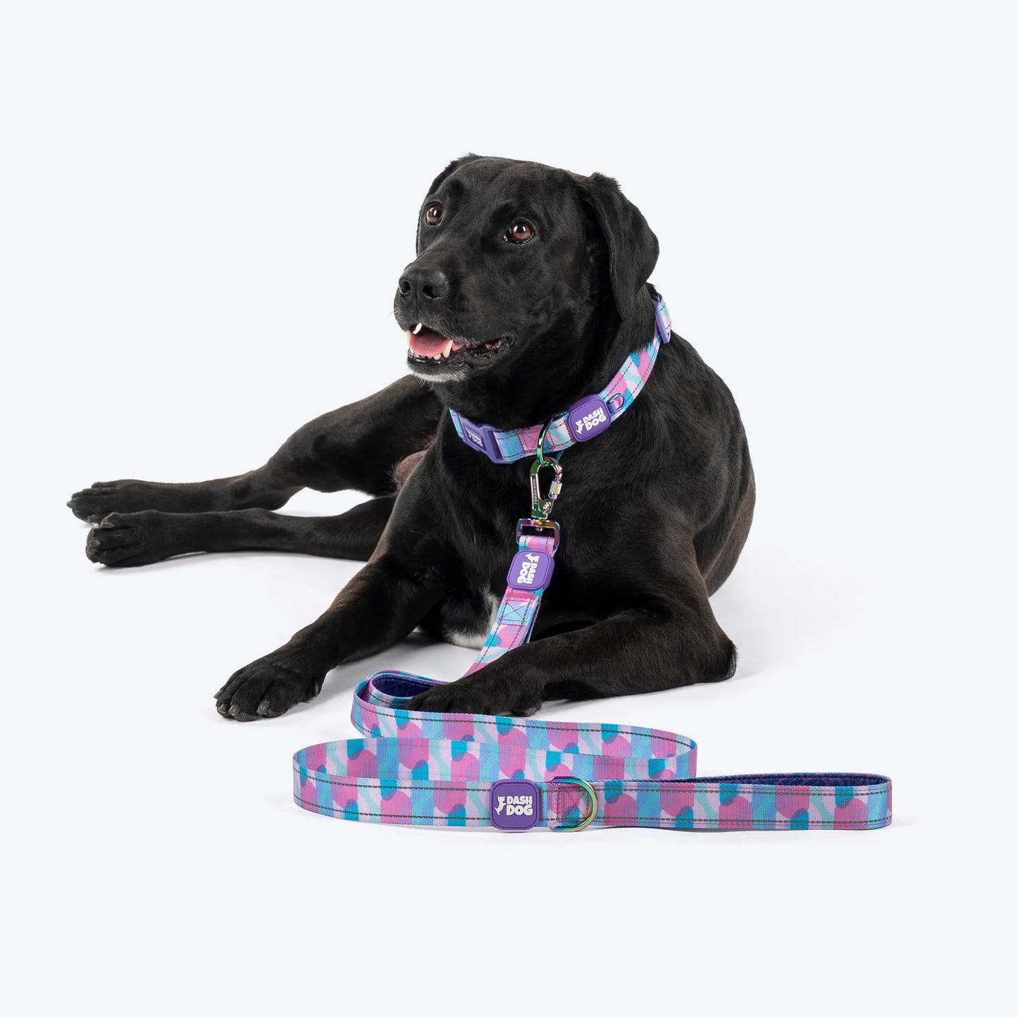 Dash Dog Galaxy Dual Handle Leash For Dog - Purple