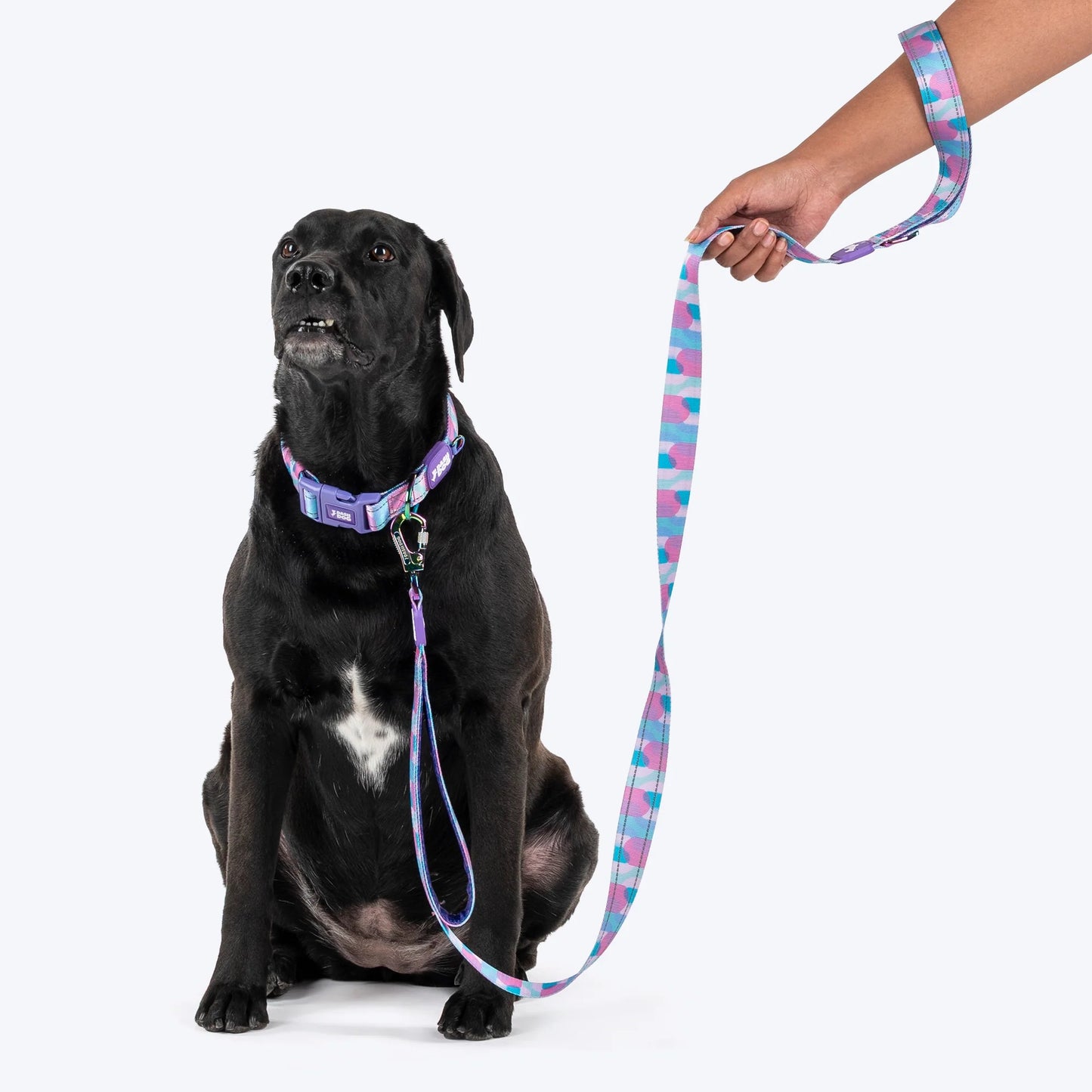 Dash Dog Galaxy Dual Handle Leash For Dog - Purple