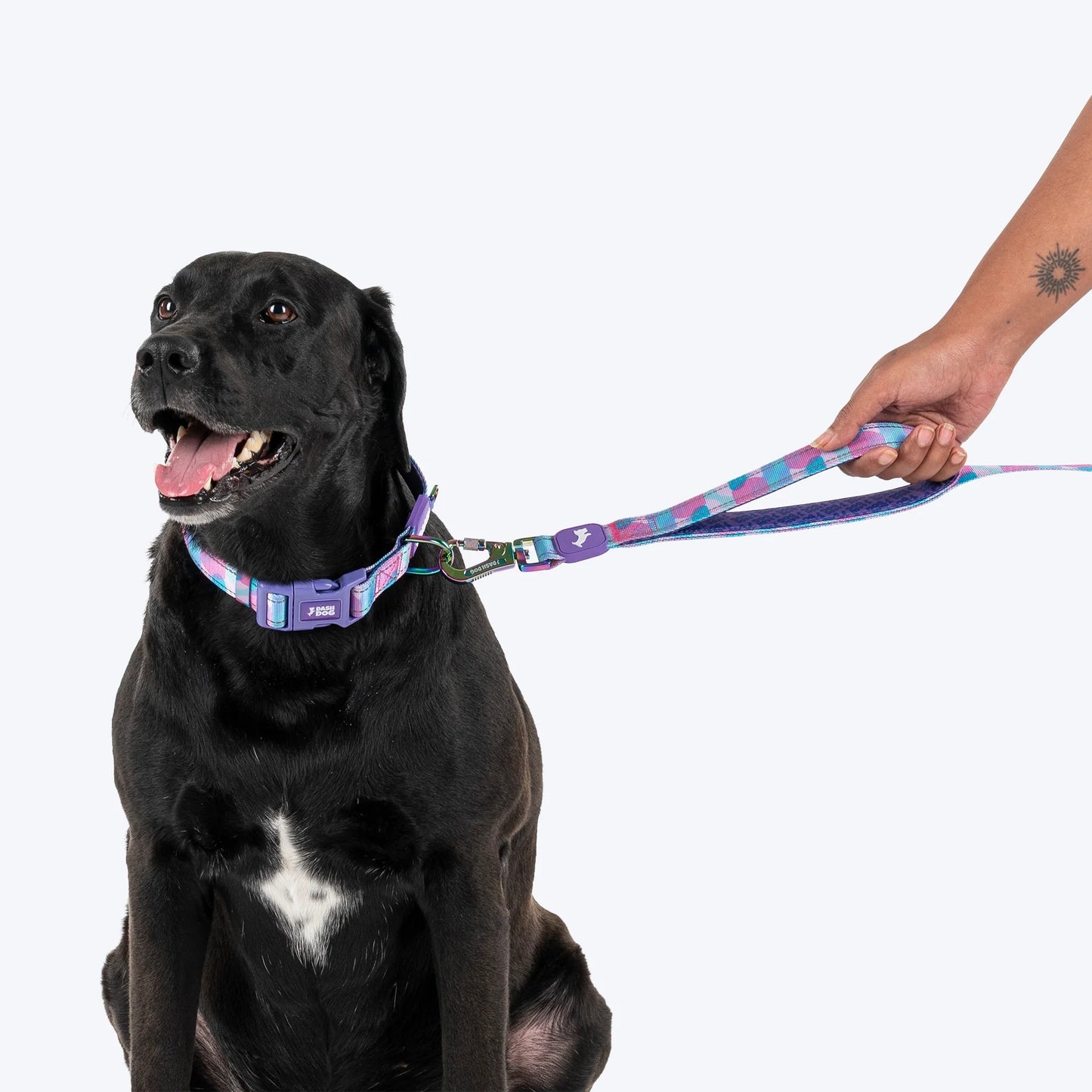 Dash Dog Galaxy Dual Handle Leash For Dog - Purple