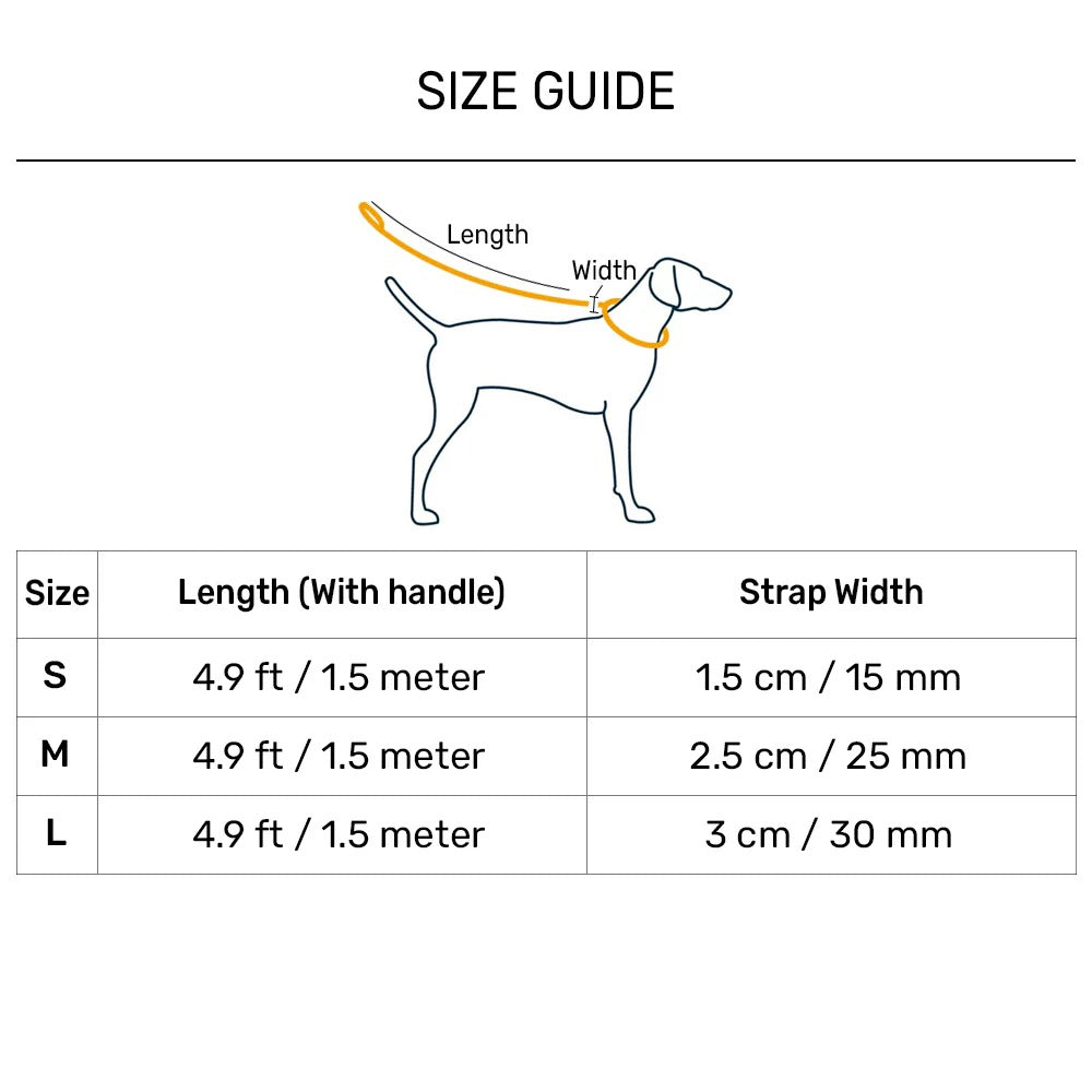 Dash Dog Galaxy Dual Handle Leash For Dog - Purple