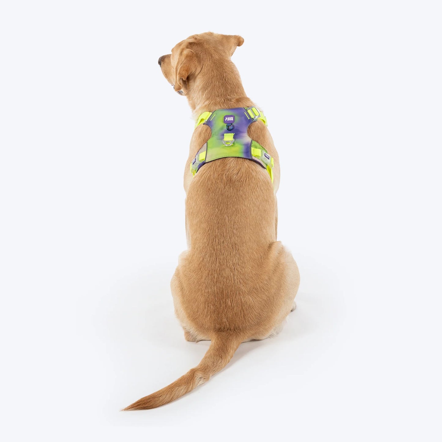 Dash Dog Neon Fusion Outdoor Fit Harness For Dog - Neon Green
