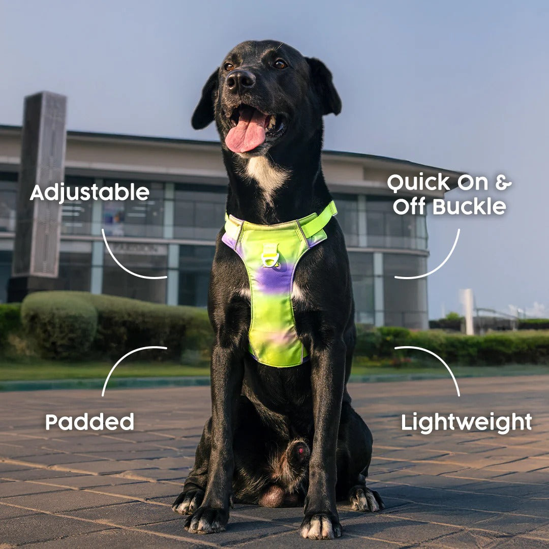 Dash Dog Neon Fusion Outdoor Fit Harness For Dog - Neon Green
