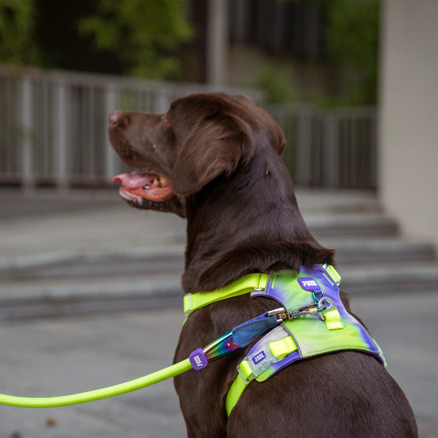 Dash Dog Neon Fusion Outdoor Fit Harness For Dog - Neon Green