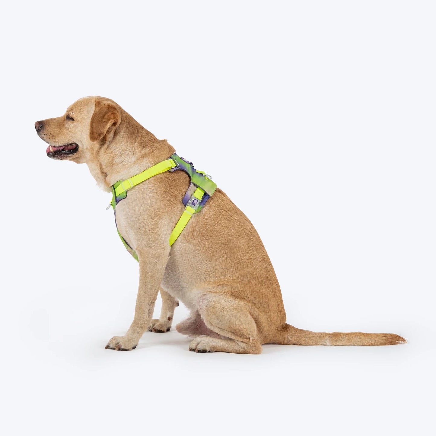 Dash Dog Neon Fusion Outdoor Fit Harness For Dog - Neon Green