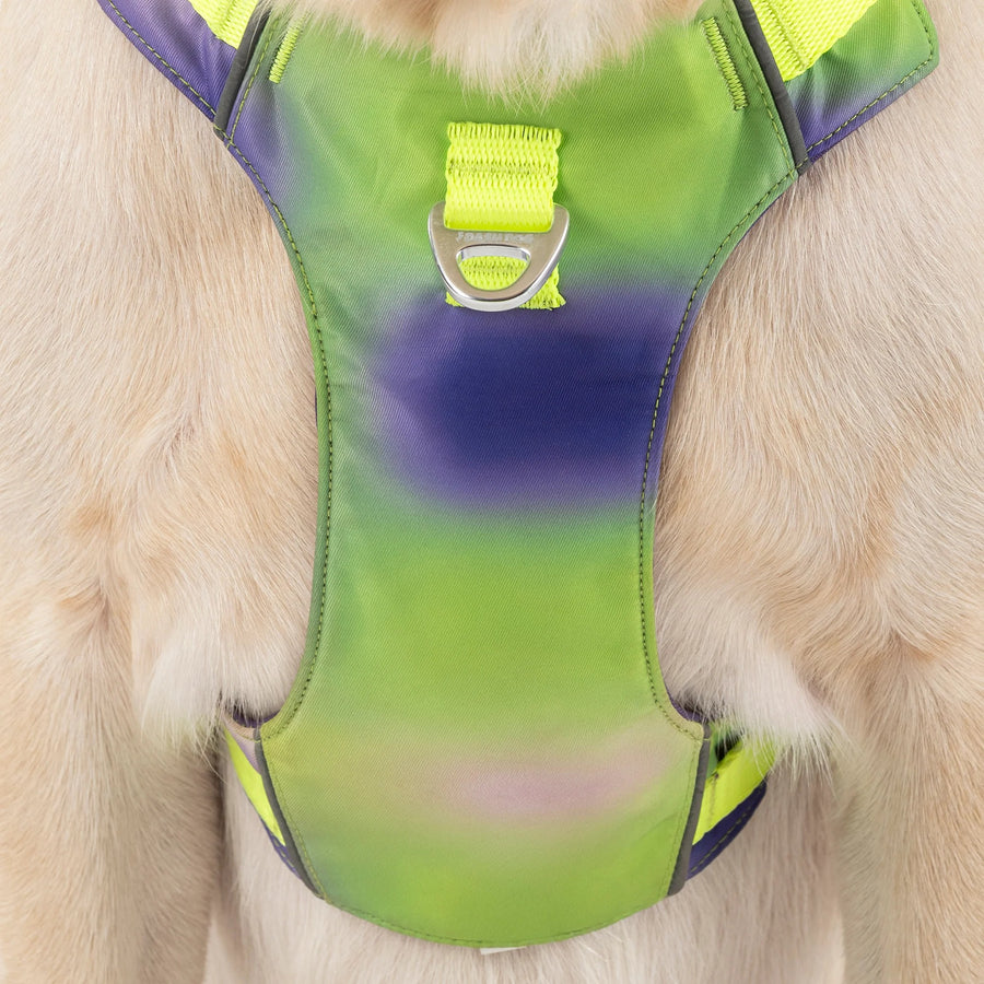 Dash Dog Neon Fusion Outdoor Fit Harness For Dog - Neon Green